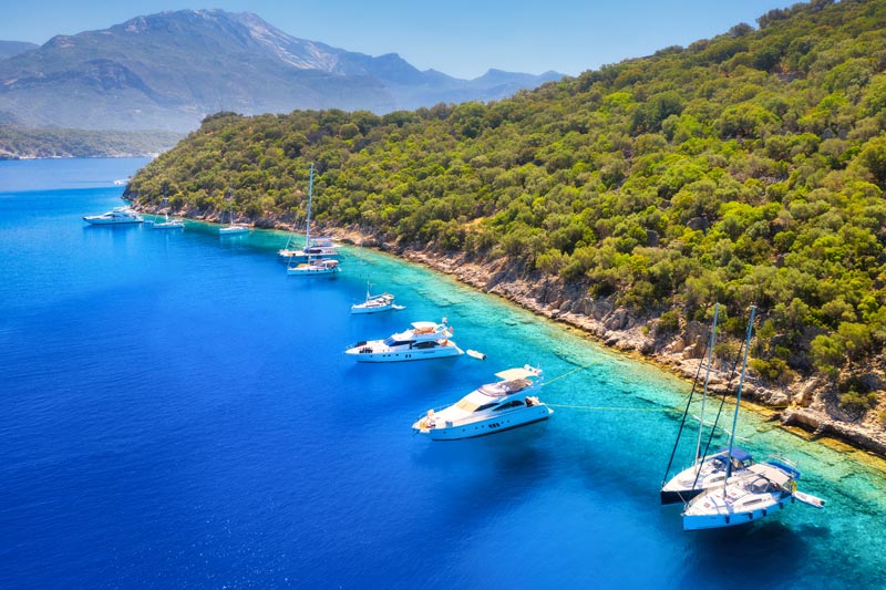 iStock-1322747589 iStock-1322747589