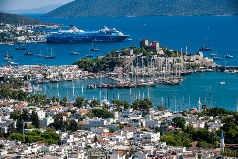 iStock-1402318104 iStock-1402318104