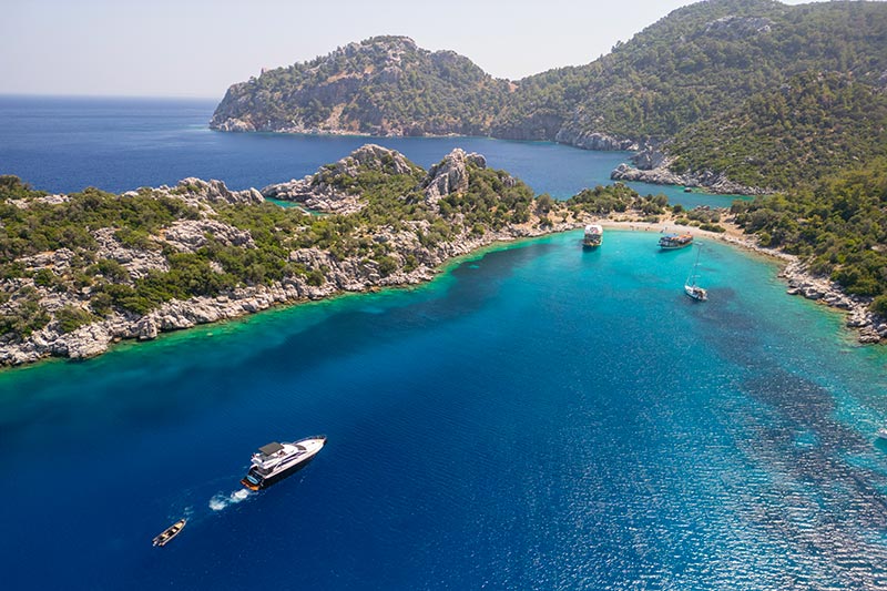 iStock-2224906082 iStock-2224906082