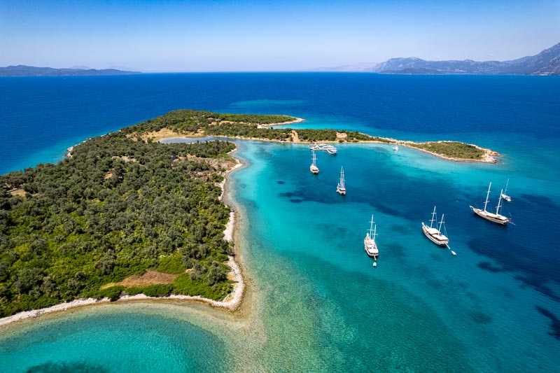 iStock-1410897658 iStock-1410897658